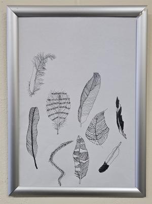 Carola Sauerwein - Bild 19